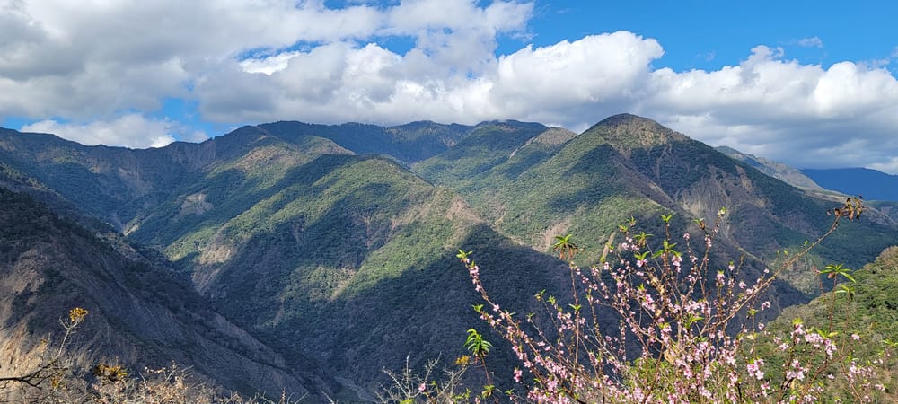冬季的山區小旅行:南橫、福壽山、合歡溪古道 冬季的山區小旅行:南橫、福壽山、合歡溪古道