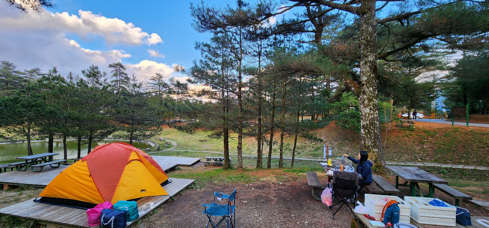 冬季的山區小旅行:南橫、福壽山、合歡溪古道