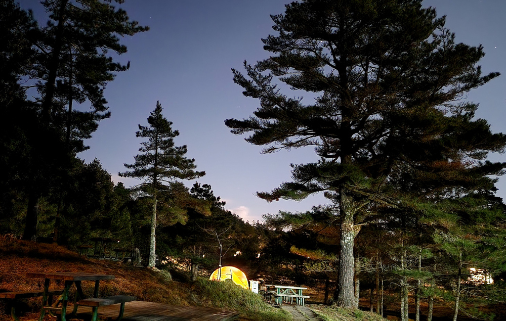 冬季的山區小旅行:南橫、福壽山、合歡溪古道 冬季的山區小旅行:南橫、福壽山、合歡溪古道