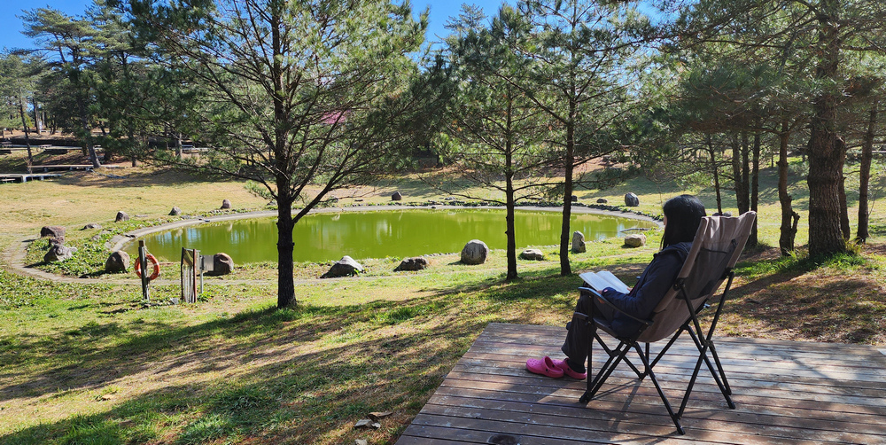冬季的山區小旅行:南橫、福壽山、合歡溪古道 冬季的山區小旅行:南橫、福壽山、合歡溪古道