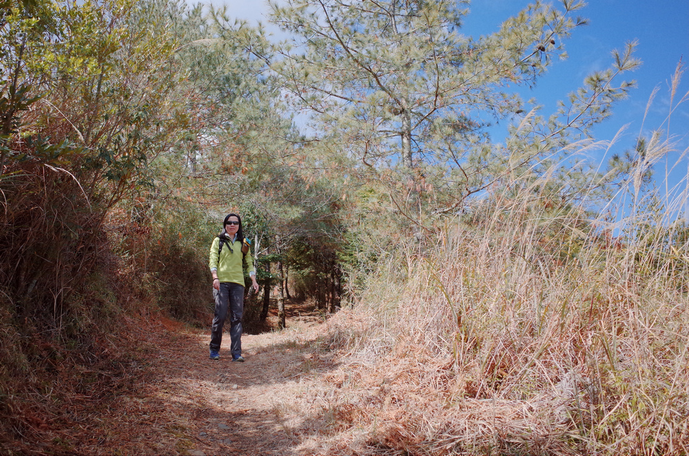 冬季的山區小旅行:南橫、福壽山、合歡溪古道 冬季的山區小旅行:南橫、福壽山、合歡溪古道