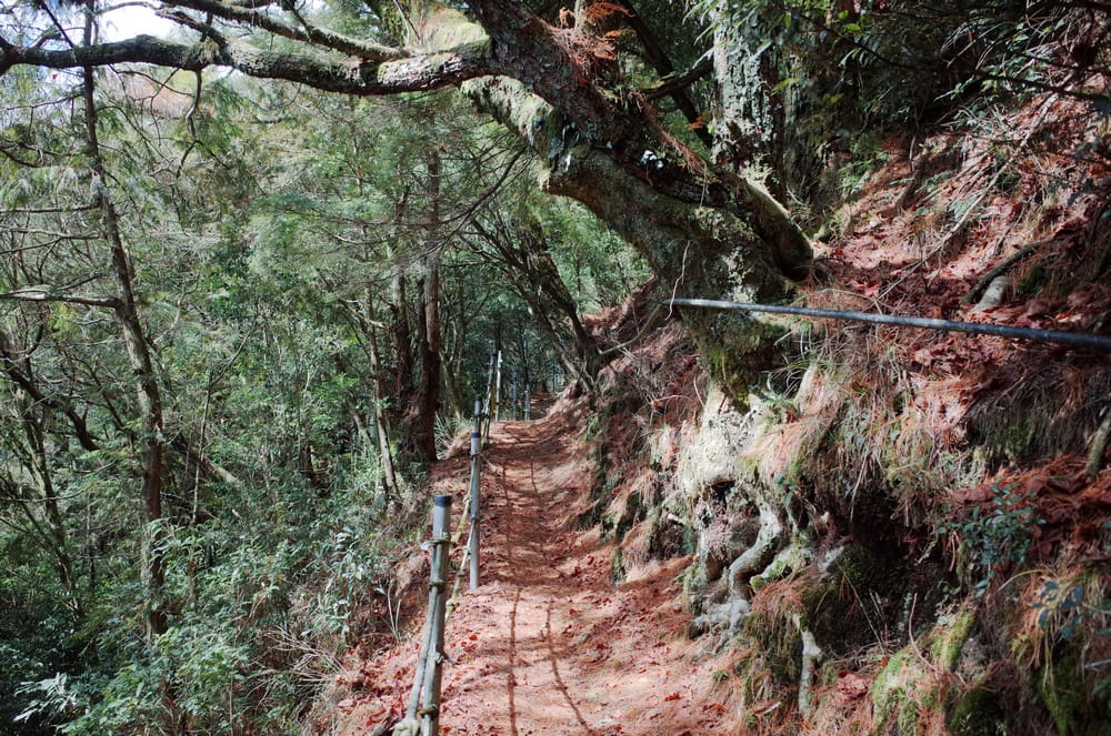 冬季的山區小旅行:南橫、福壽山、合歡溪古道 冬季的山區小旅行:南橫、福壽山、合歡溪古道