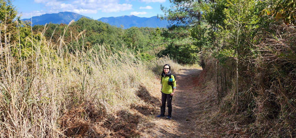 冬季的山區小旅行:南橫、福壽山、合歡溪古道 冬季的山區小旅行:南橫、福壽山、合歡溪古道