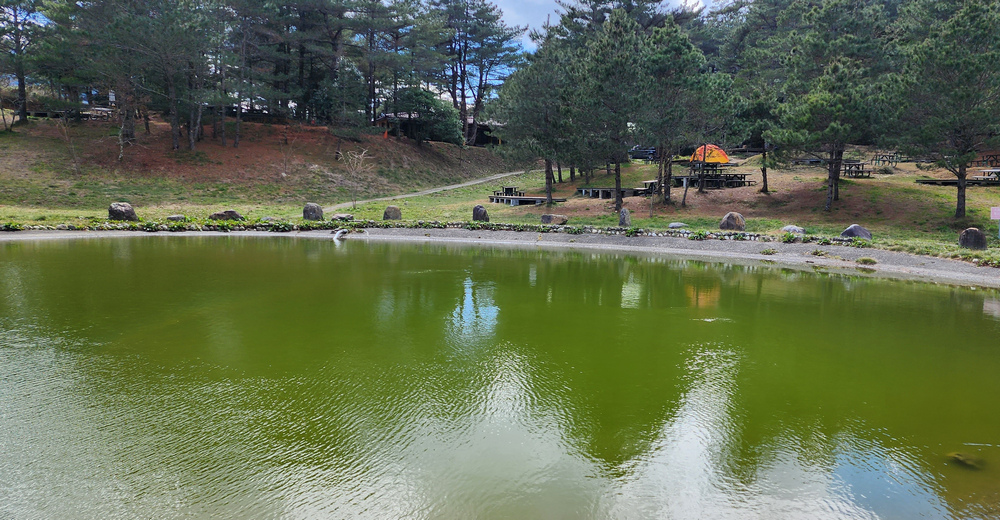 冬季的山區小旅行:南橫、福壽山、合歡溪古道 冬季的山區小旅行:南橫、福壽山、合歡溪古道