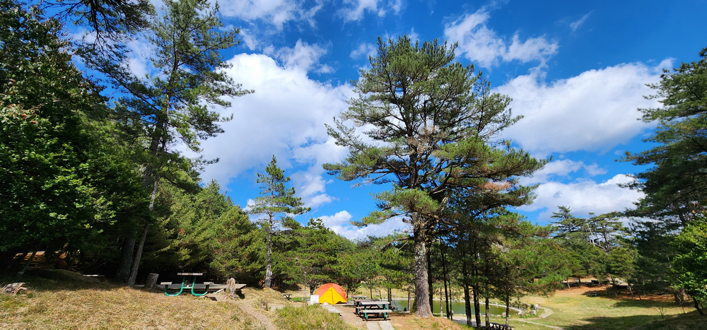 冬季的山區小旅行:南橫、福壽山、合歡溪古道 冬季的山區小旅行:南橫、福壽山、合歡溪古道