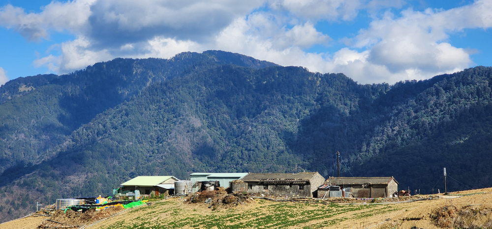 冬季的山區小旅行:南橫、福壽山、合歡溪古道