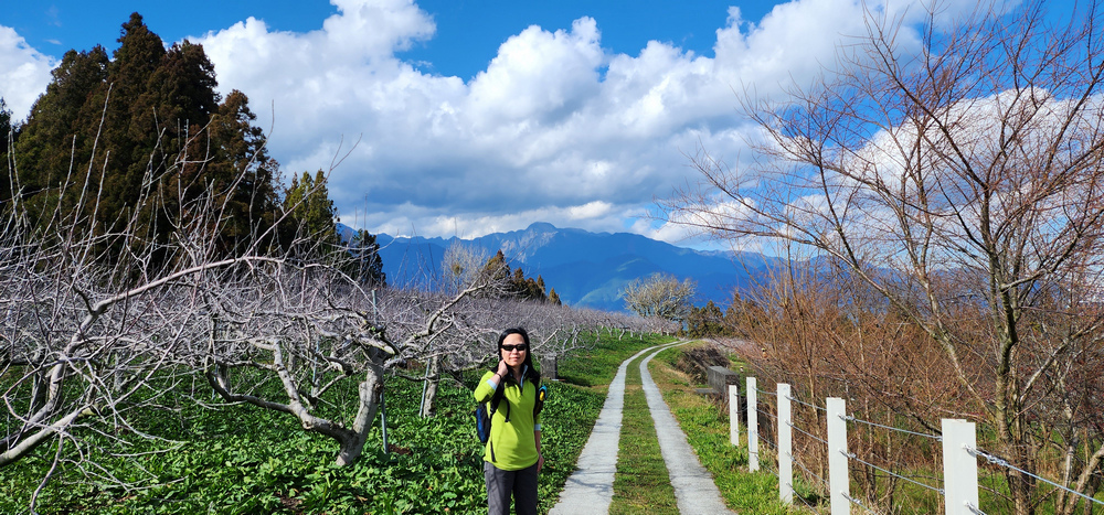 冬季的山區小旅行:南橫、福壽山、合歡溪古道 冬季的山區小旅行:南橫、福壽山、合歡溪古道