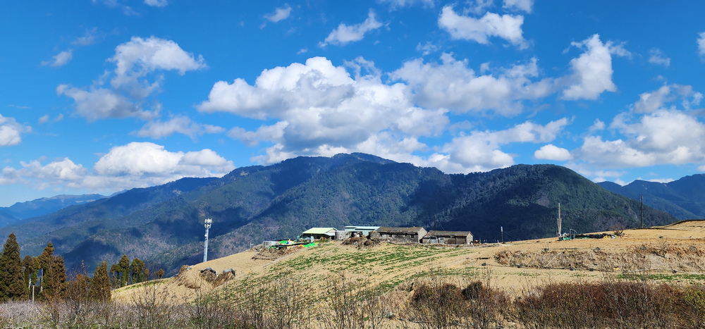 冬季的山區小旅行:南橫、福壽山、合歡溪古道 冬季的山區小旅行:南橫、福壽山、合歡溪古道