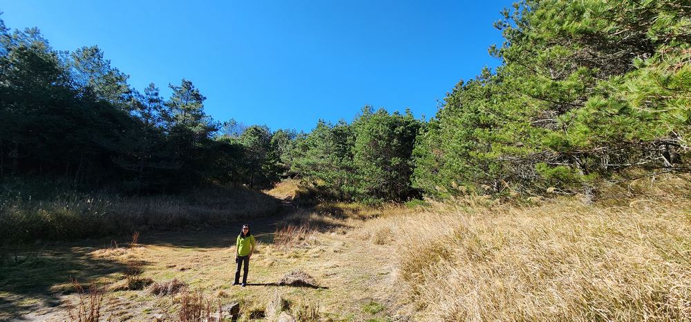冬季的山區小旅行:南橫、福壽山、合歡溪古道