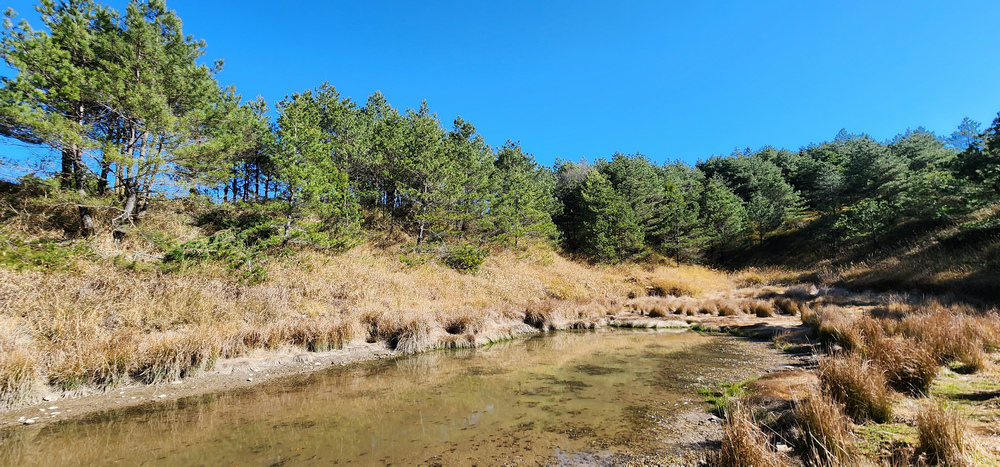 冬季的山區小旅行:南橫、福壽山、合歡溪古道 冬季的山區小旅行:南橫、福壽山、合歡溪古道