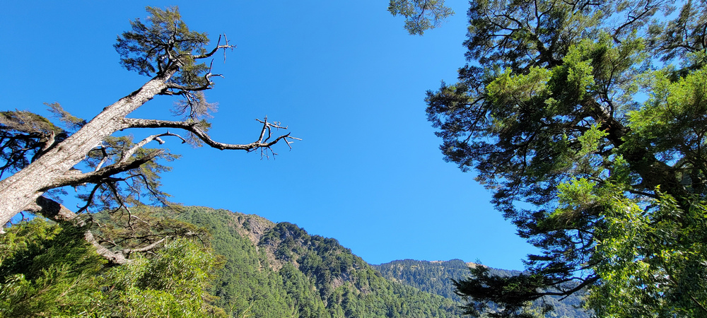 冬季的山區小旅行:南橫、福壽山、合歡溪古道 冬季的山區小旅行:南橫、福壽山、合歡溪古道