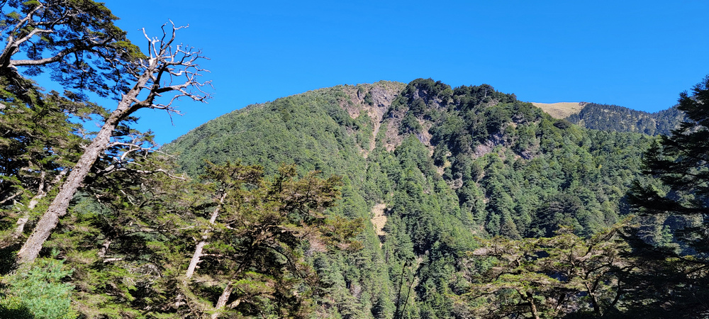 冬季的山區小旅行:南橫、福壽山、合歡溪古道 冬季的山區小旅行:南橫、福壽山、合歡溪古道