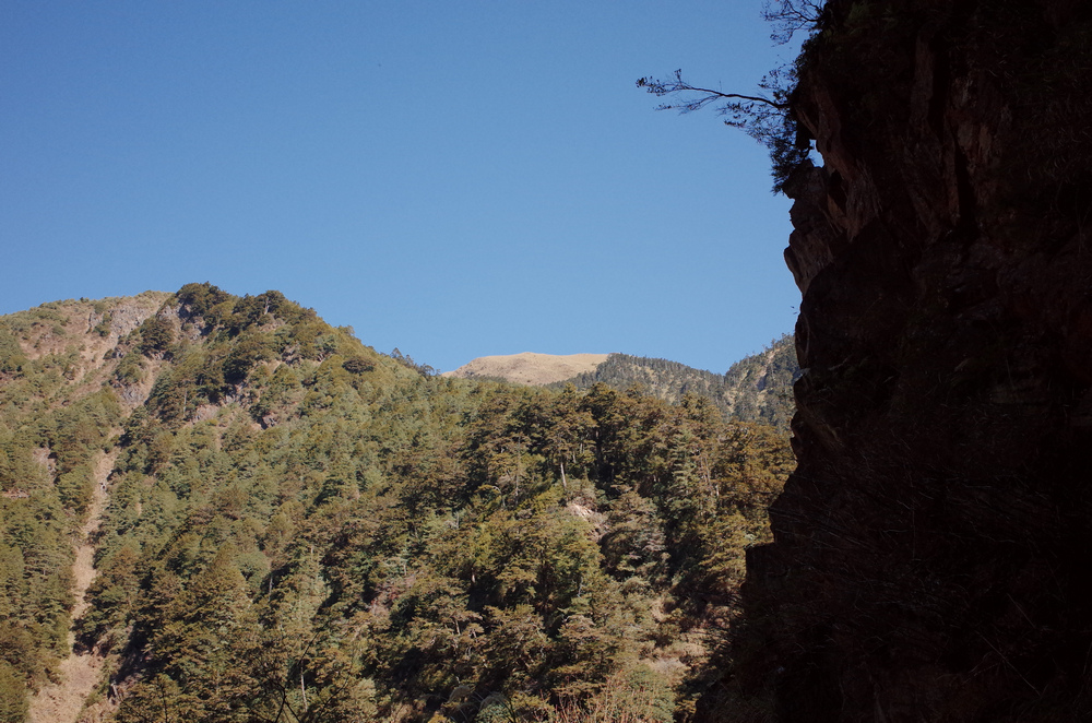 冬季的山區小旅行:南橫、福壽山、合歡溪古道
