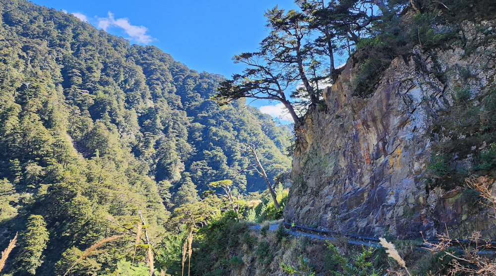 冬季的山區小旅行:南橫、福壽山、合歡溪古道 冬季的山區小旅行:南橫、福壽山、合歡溪古道