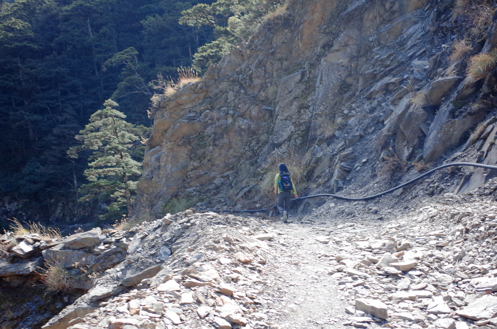 冬季的山區小旅行:南橫、福壽山、合歡溪古道