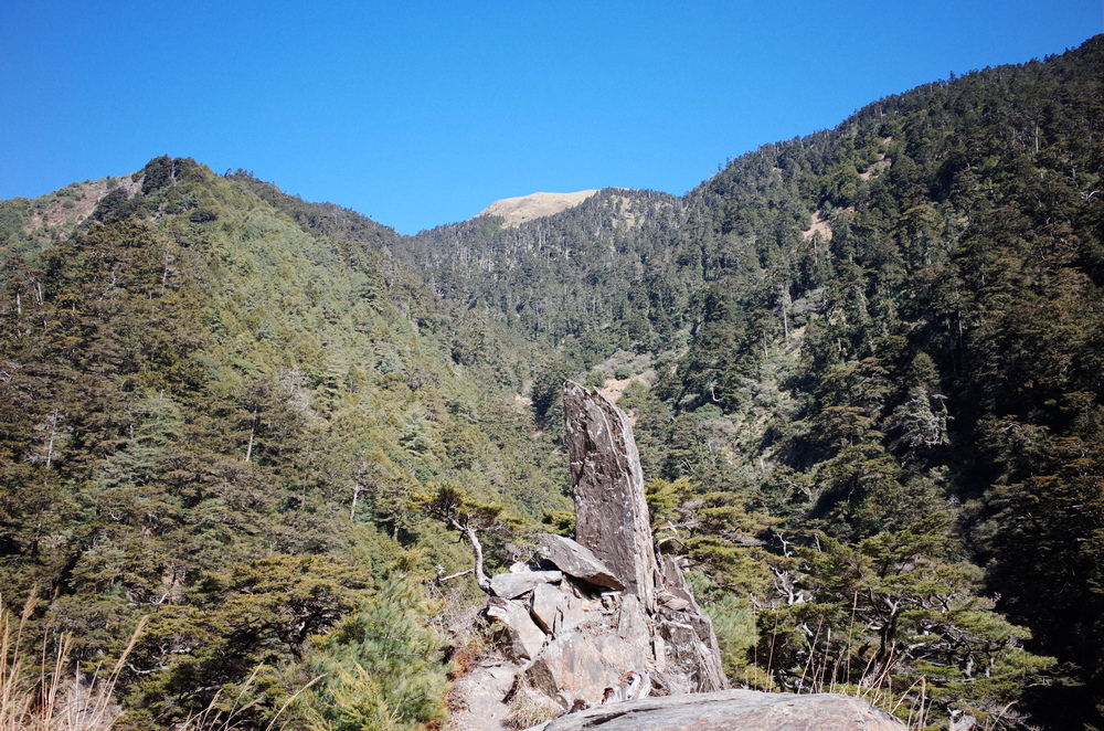 冬季的山區小旅行:南橫、福壽山、合歡溪古道 冬季的山區小旅行:南橫、福壽山、合歡溪古道