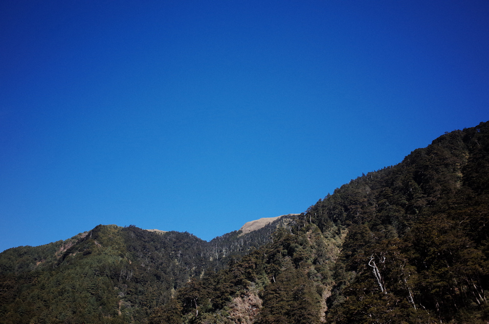 冬季的山區小旅行:南橫、福壽山、合歡溪古道 冬季的山區小旅行:南橫、福壽山、合歡溪古道