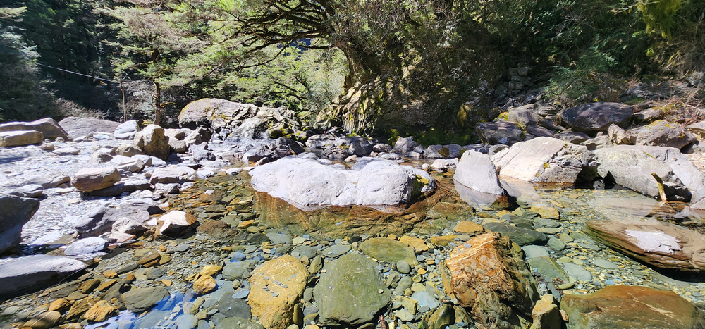 冬季的山區小旅行:南橫、福壽山、合歡溪古道 冬季的山區小旅行:南橫、福壽山、合歡溪古道