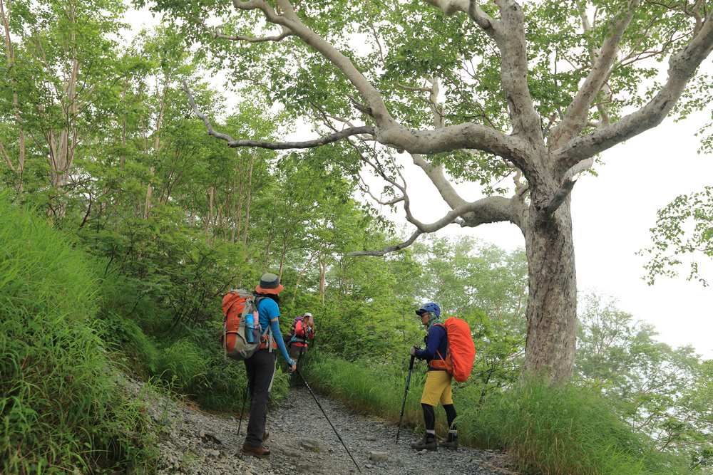 日本:後立山連峰之1~ 從八方尾根上唐松岳 日本:後立山連峰之1~ 從八方尾根上唐松岳