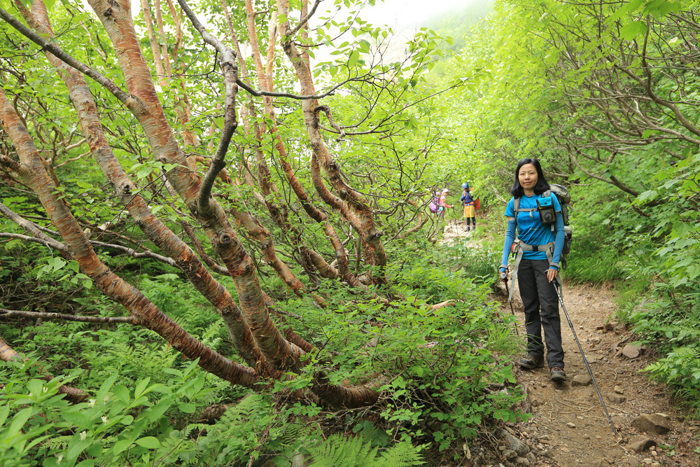 日本:後立山連峰之1~ 從八方尾根上唐松岳 日本:後立山連峰之1~ 從八方尾根上唐松岳