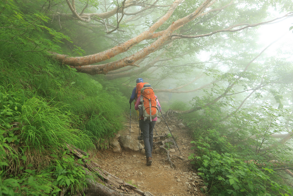 日本:後立山連峰之1~ 從八方尾根上唐松岳