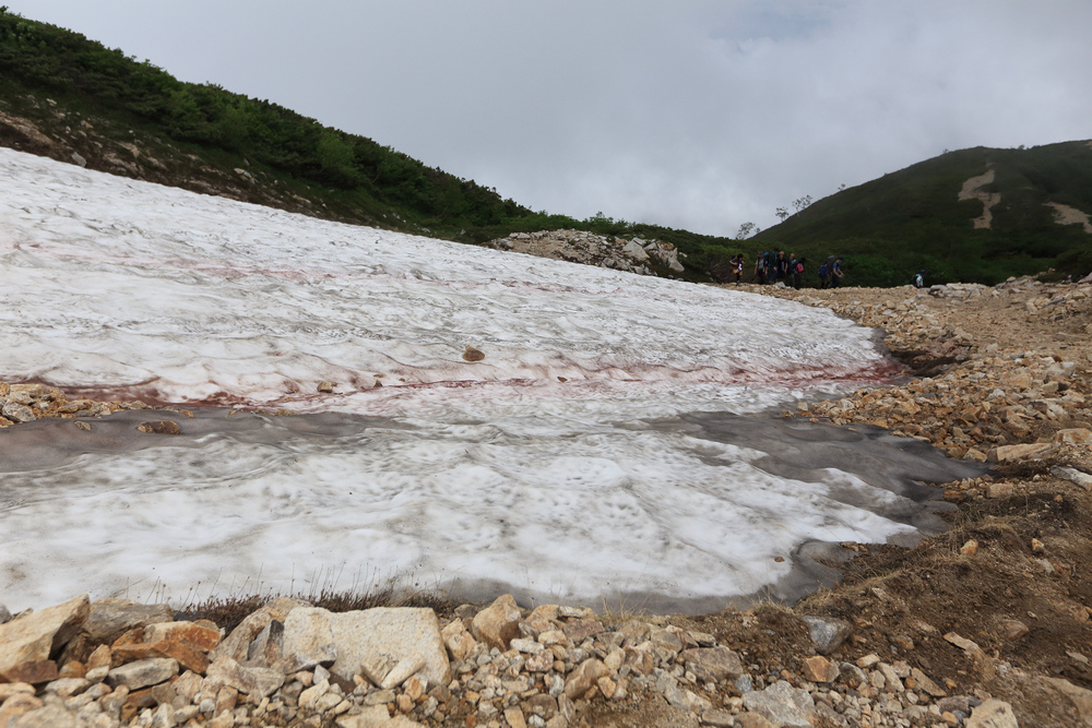 日本:後立山連峰之1~ 從八方尾根上唐松岳