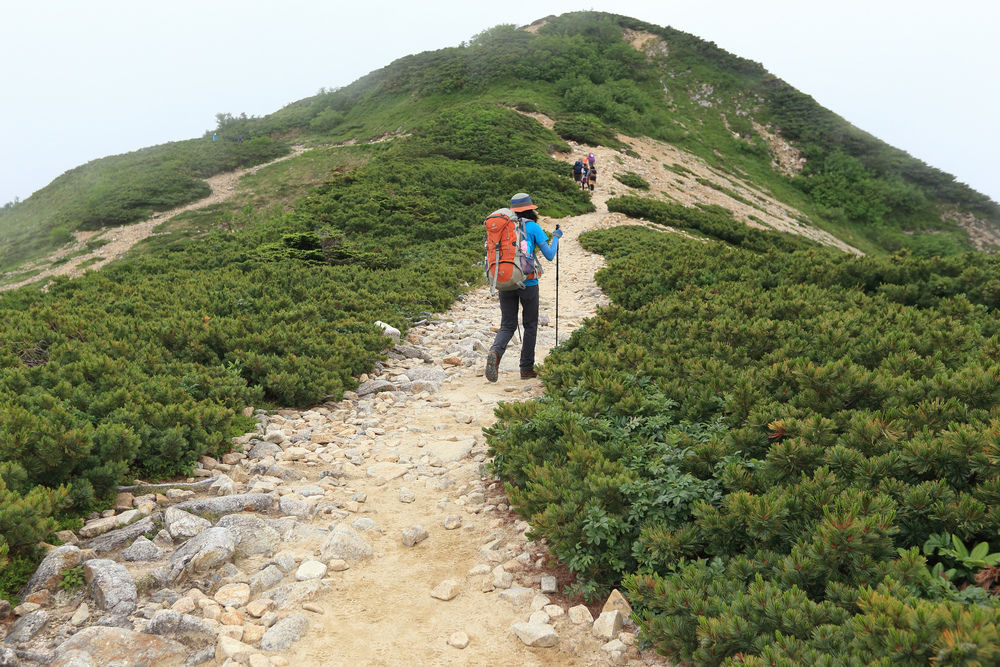 日本:後立山連峰之1~ 從八方尾根上唐松岳