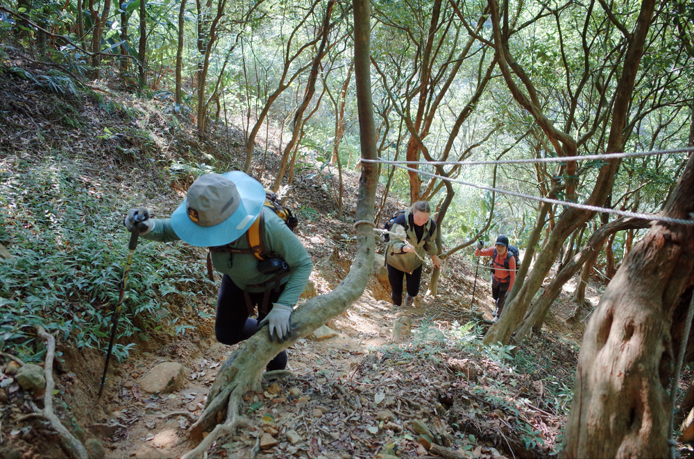 瑞芳--南子吝、小錐麓、大鬼瀑布、保羅尖O型 瑞芳--南子吝、小錐麓、大鬼瀑布、保羅尖O型