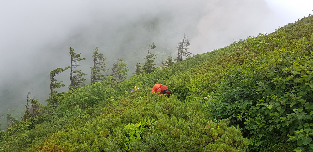 日本：後立山連峰之2～前往五竜山莊