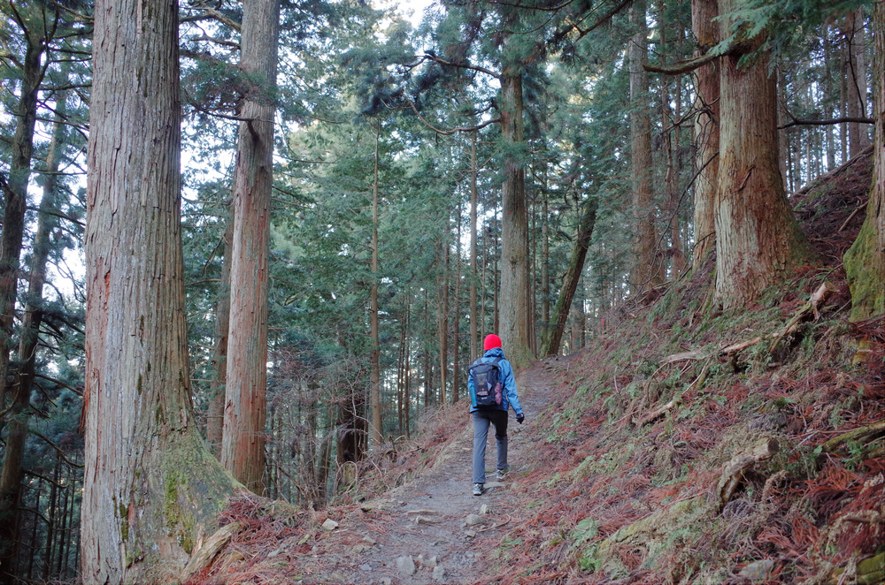 日本京都--比叡山 日本京都--比叡山