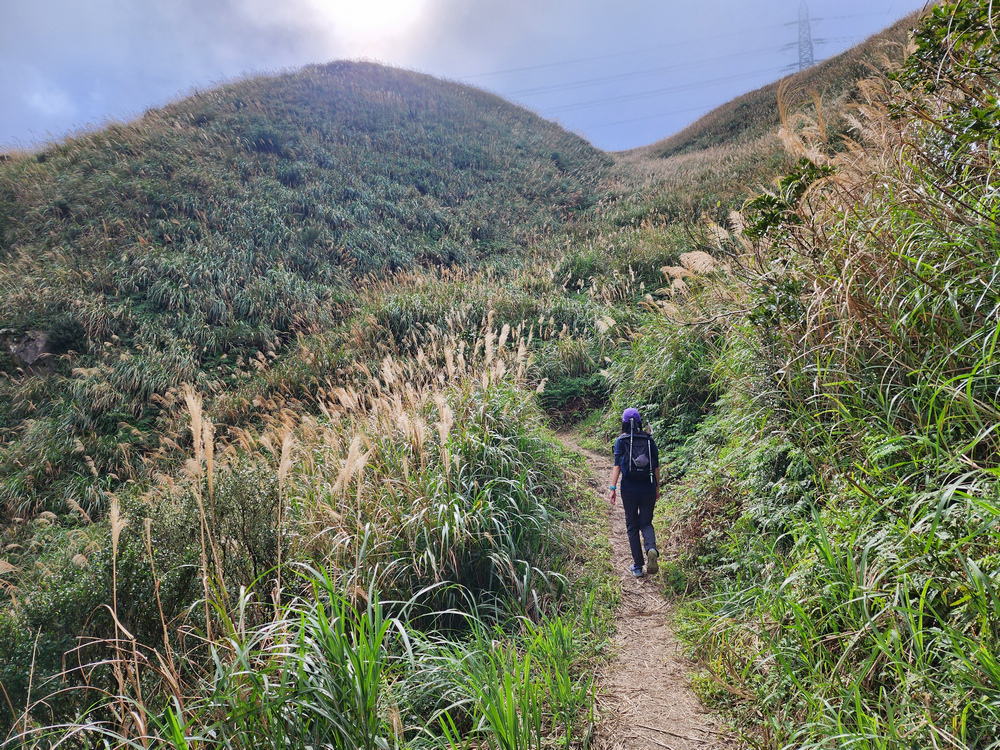 牡丹山、三貂崙、金瓜石露頭O型 牡丹山、三貂崙、金瓜石露頭O型