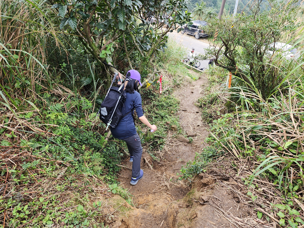 牡丹山、三貂崙、金瓜石露頭O型 牡丹山、三貂崙、金瓜石露頭O型
