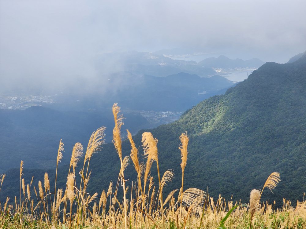 牡丹山、三貂崙、金瓜石露頭O型