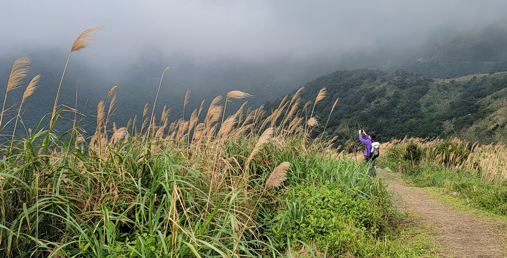 牡丹山、三貂崙、金瓜石露頭O型 牡丹山、三貂崙、金瓜石露頭O型