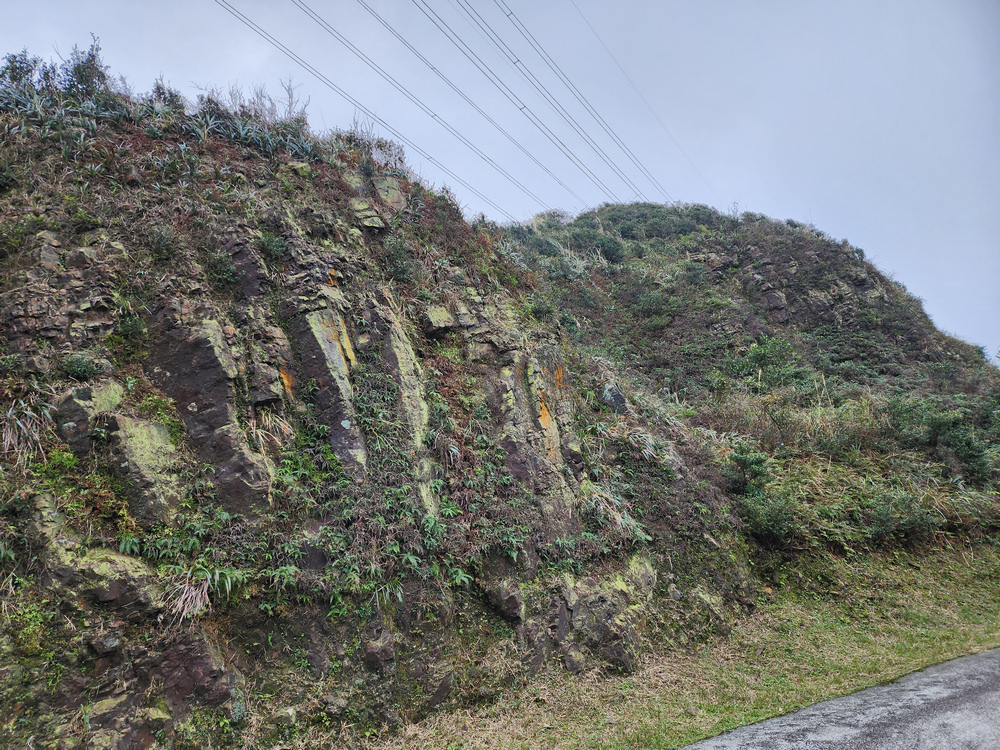 牡丹山、三貂崙、金瓜石露頭O型 牡丹山、三貂崙、金瓜石露頭O型