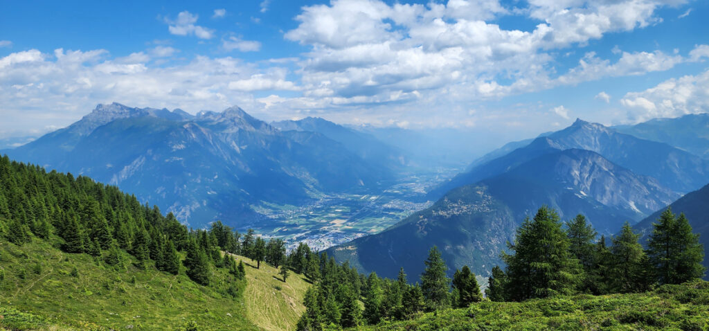 img 0984