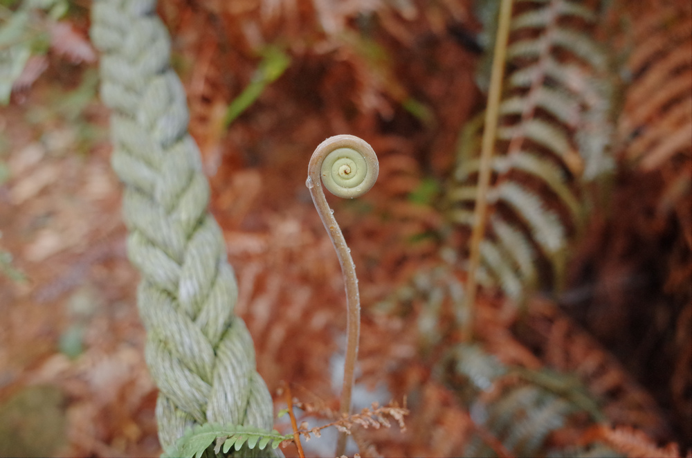 R0040916.jpg