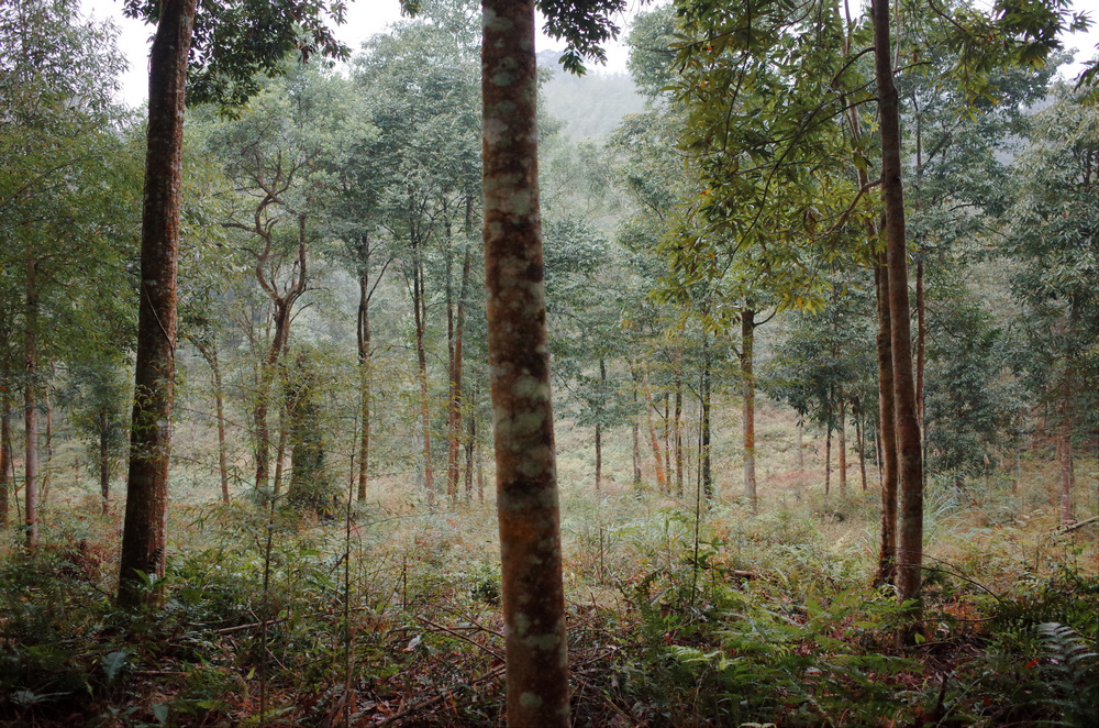 R0041009.jpg
