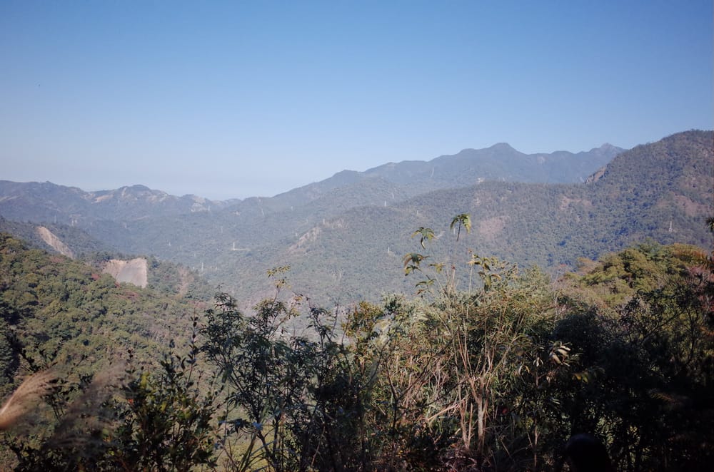 R0041090.jpg