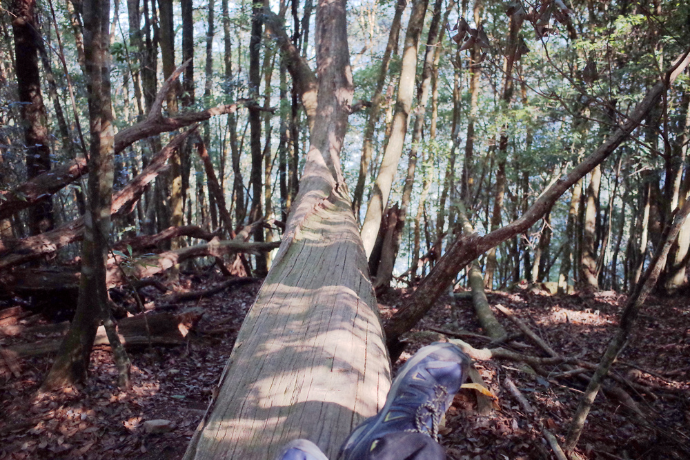 R0041144.jpg