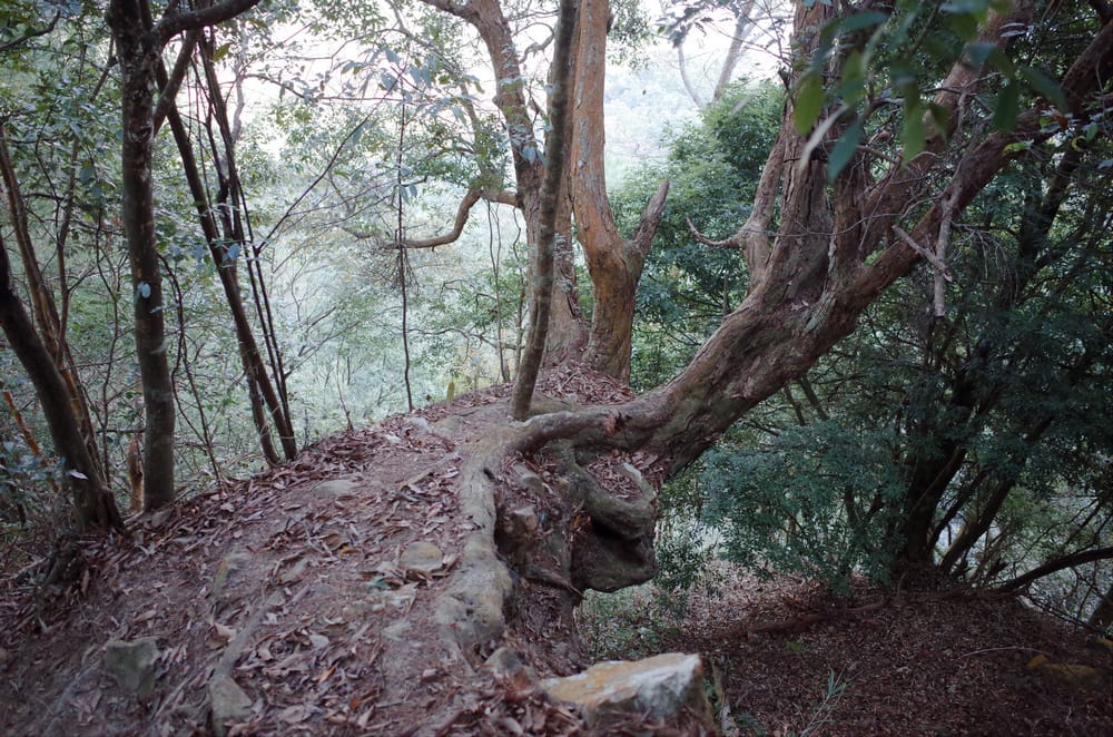R0041200.jpg