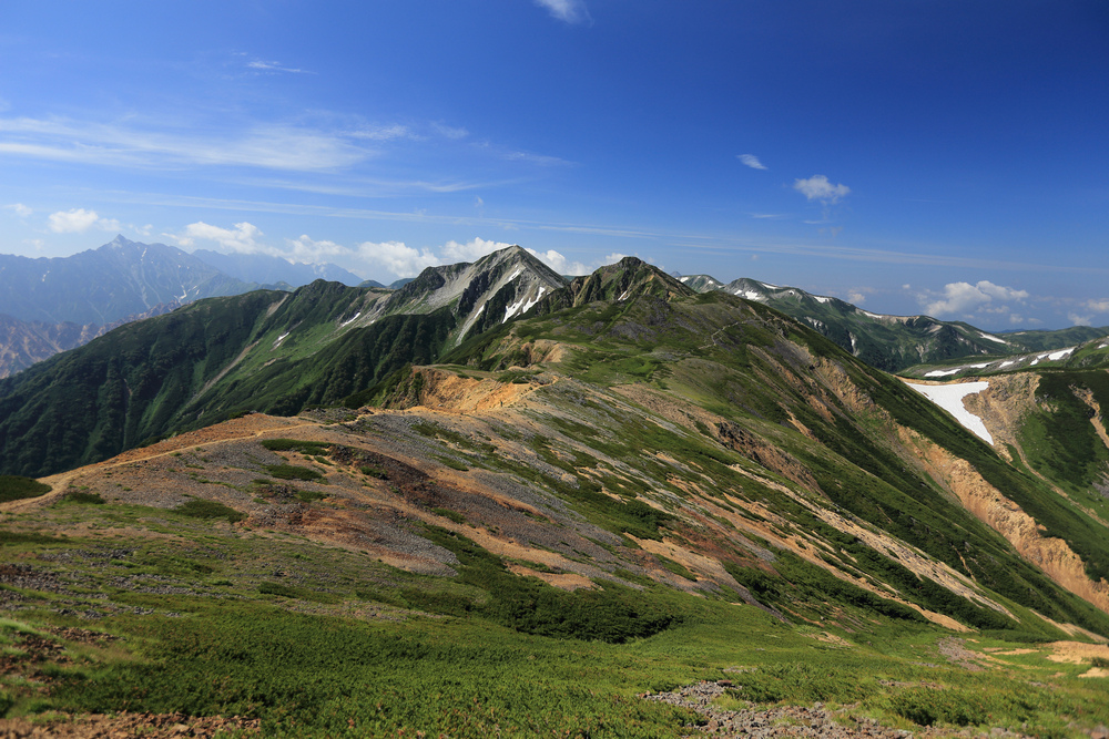 IMG_8427.jpg
