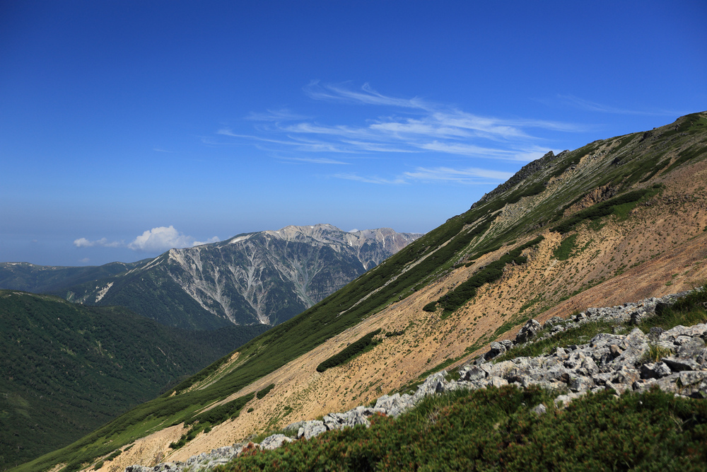 IMG_8437.jpg