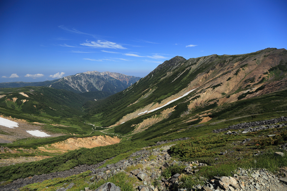 IMG_8448.jpg