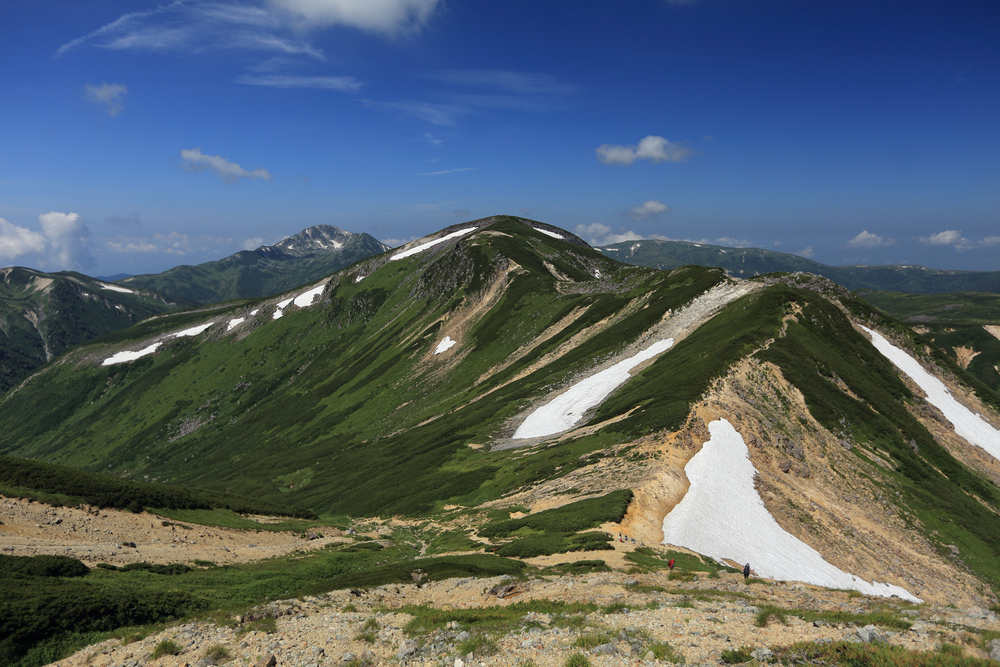 IMG_8458.jpg