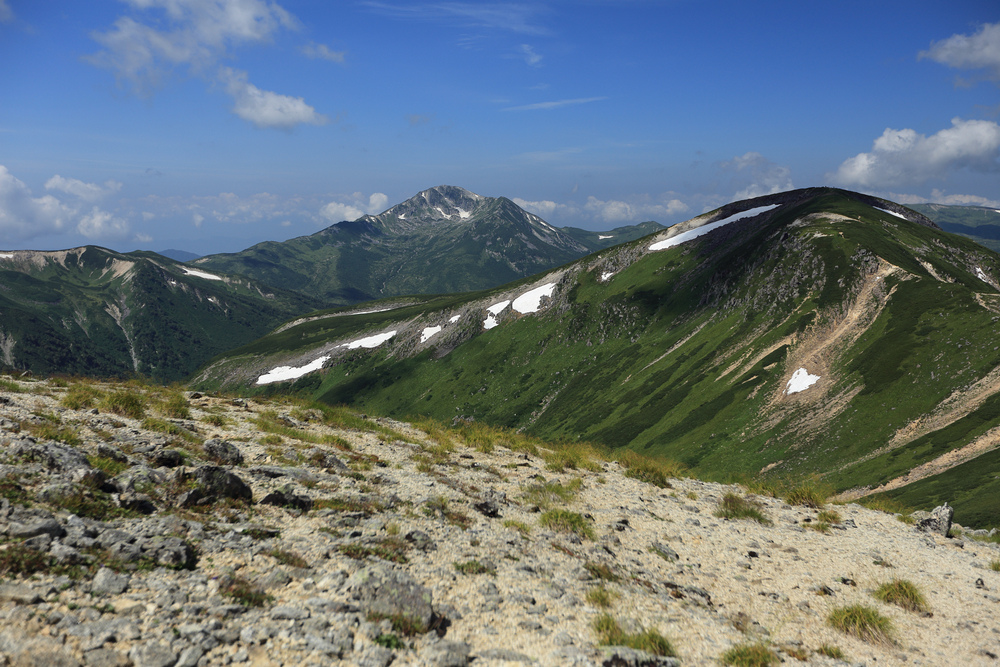 IMG_8467.jpg