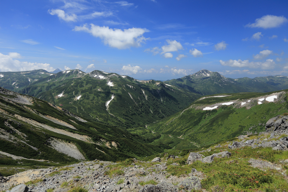 IMG_8488.jpg