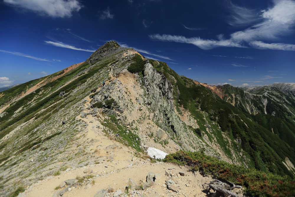 IMG_8500.jpg