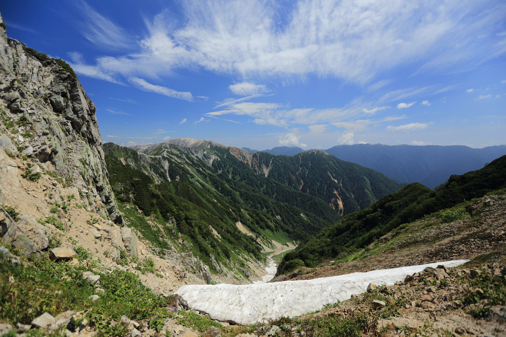 IMG_8498.jpg