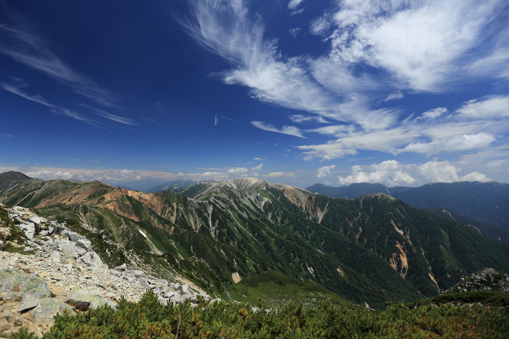 IMG_8526.jpg